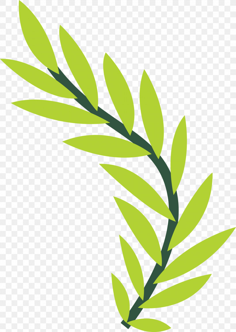 Plant Stem Leaf Grasses Line Meter, PNG, 2138x3000px, Plant Stem, Biology, Grasses, Leaf, Line Download Free