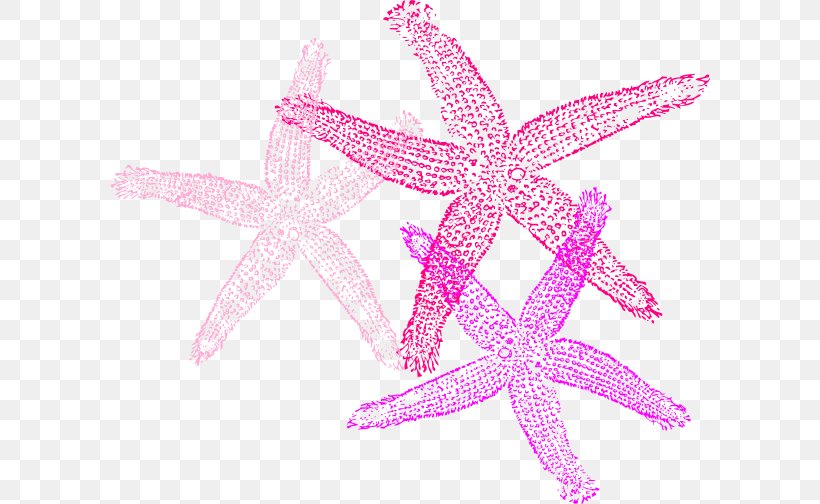 Starfish Invertebrate Clip Art, PNG, 600x504px, Starfish, Animal, Blue, Color, Echinoderm Download Free