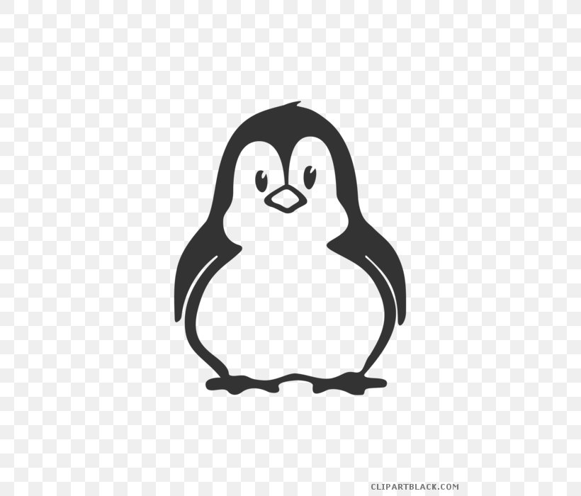 Car Wall Decal Bumper Sticker, PNG, 495x700px, Car, Adhesive, Beak, Bird, Black And White Download Free