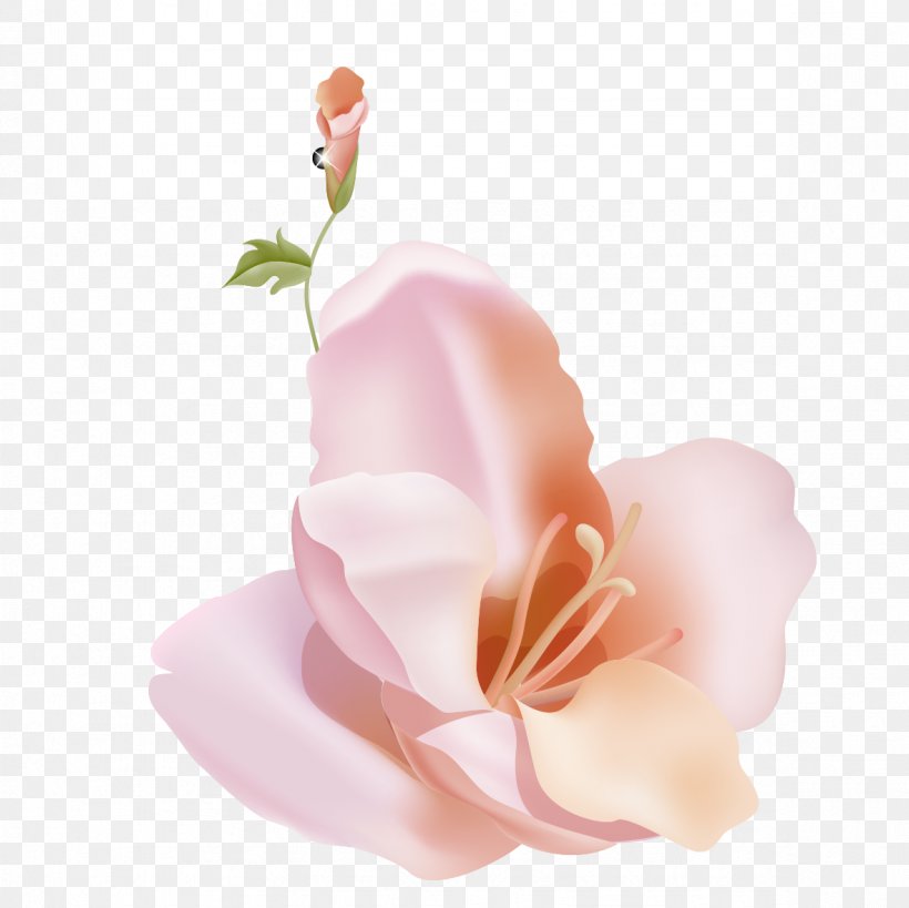 Garden Roses Petal Lilium Flower, PNG, 1181x1181px, Garden Roses, Corepng, Cut Flowers, Drawing, Flower Download Free