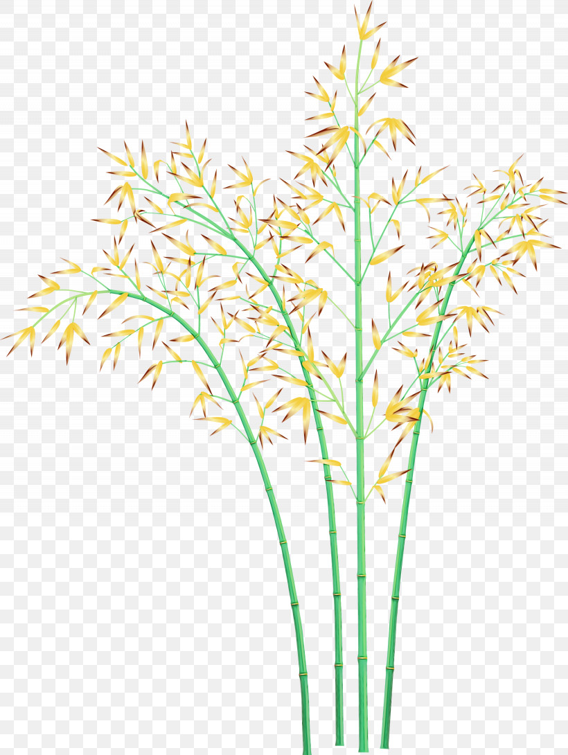 Grass Plant Flower Plant Stem Grass Family, PNG, 2255x3000px, Bamboo, Aquarium Decor, Cut Flowers, Flower, Grass Download Free
