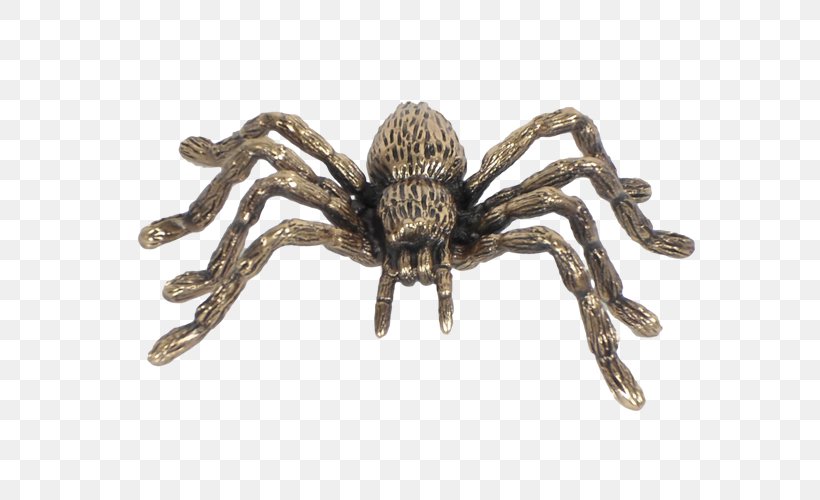 Tarantula Wolf Spider Insect, PNG, 600x500px, Tarantula, Arachnid, Arthropod, Insect, Invertebrate Download Free