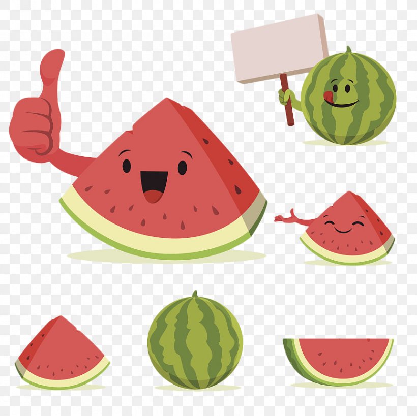 Watermelon Cartoon Illustration, PNG, 860x859px, Watermelon, Berry, Cantaloupe, Cartoon, Citrullus Download Free