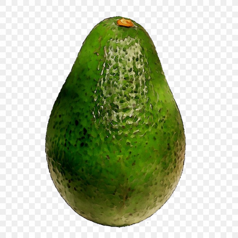 Gourd Avocado Citrus, PNG, 1080x1080px, Gourd, Avocado, Citrus, Food, Fruit Download Free