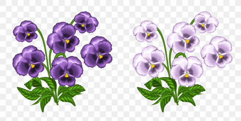 Pansy Definition Meaning Word Hybrid, PNG, 1363x688px, Sweet Violet, African Violets, Art, Cut Flowers, Drawing Download Free