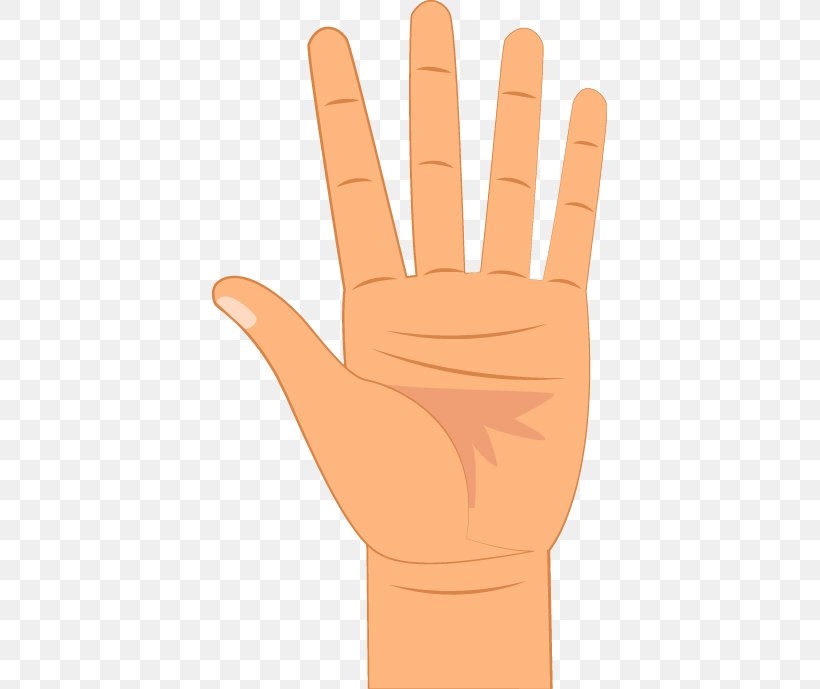 Thumb Digit Hand Little Finger, PNG, 395x689px, Thumb, Arm, Digit, Finger, Fingercounting Download Free
