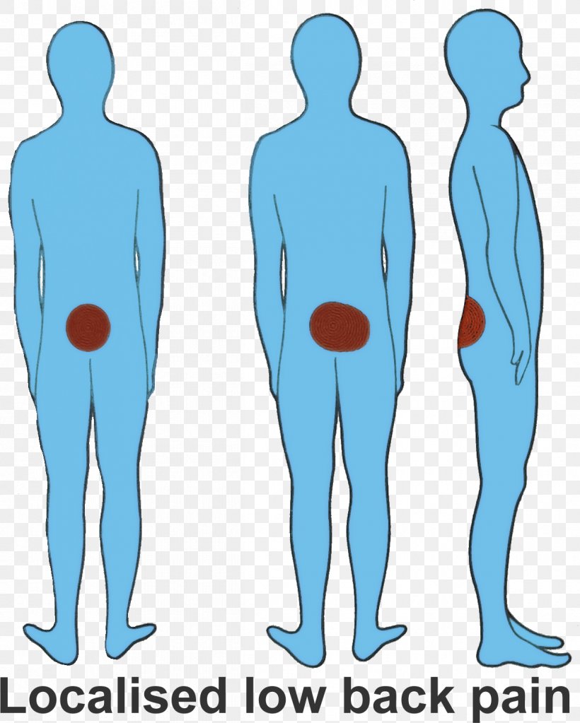 Back Pain Knee Pain Sciatica Symptom Vertebral Column, PNG, 1210x1510px, Watercolor, Cartoon, Flower, Frame, Heart Download Free