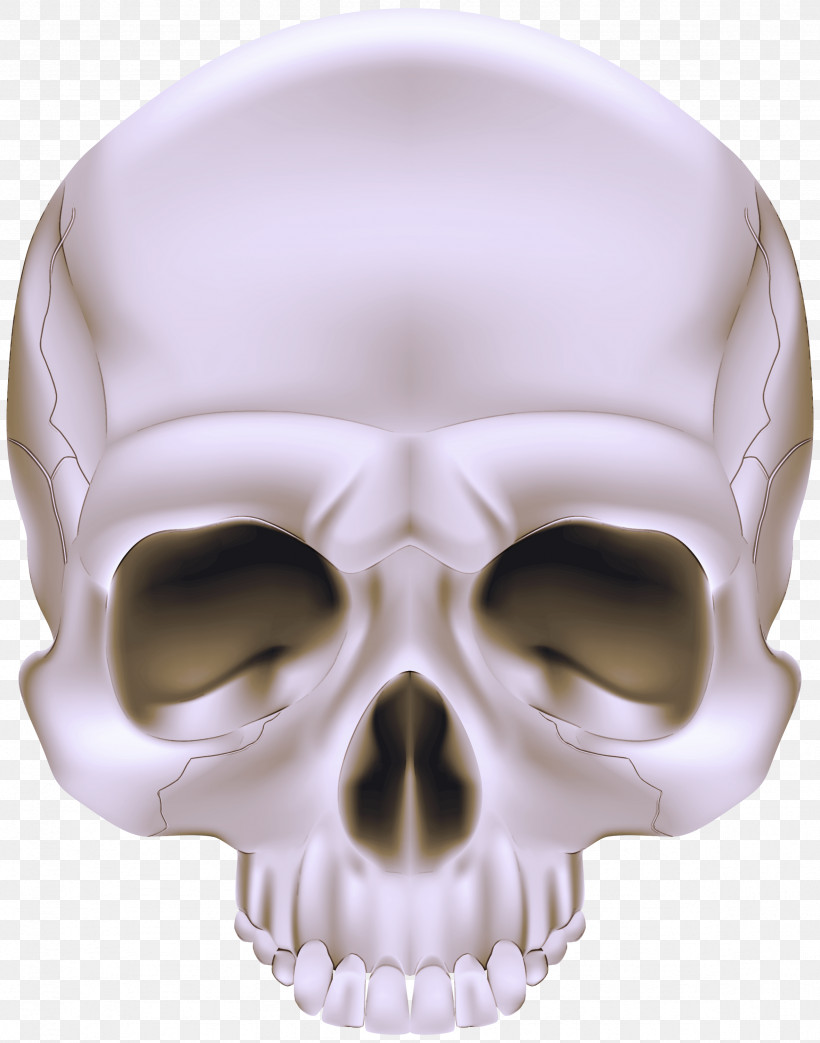 Bone Skull Face Head Jaw, PNG, 2358x3000px, Bone, Face, Forehead, Head, Jaw Download Free