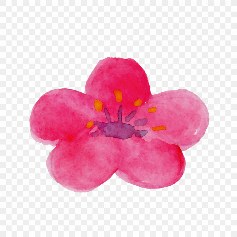 Pink Petal Flower Plant Impatiens, PNG, 2000x2000px, Watercolor Flower, Blossom, Flower, Impatiens, Magenta Download Free
