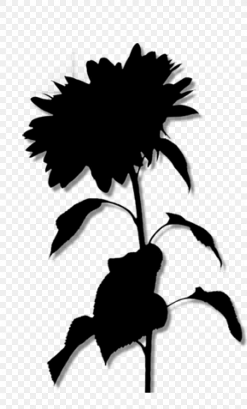 Clip Art Image Flower Drawing, PNG, 963x1590px, Flower, Asterales, Black, Blackandwhite, Botany Download Free