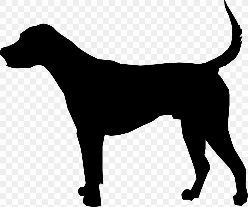 English Foxhound Dog Crate American Foxhound Dog Breed Canidae, PNG, 2400x2010px, English Foxhound, American Foxhound, Black, Black And White, Canidae Download Free