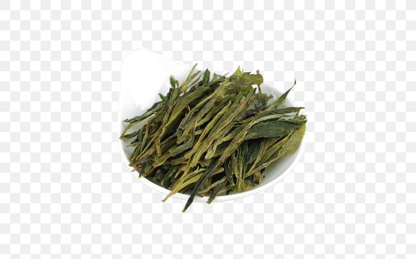 Nilgiri Tea Gyokuro Taiping Houkui Bai Mudan, PNG, 510x510px, Tea, Assam Tea, Bai Mudan, Baihao Yinzhen, Bancha Download Free