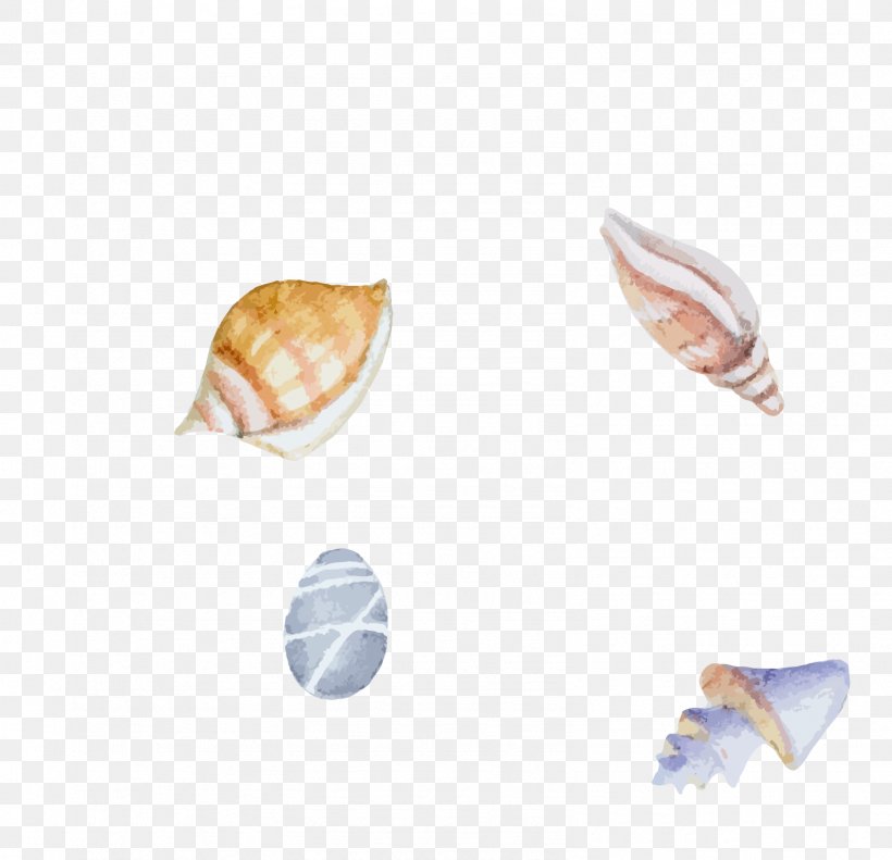 Seashell Clam Sea Snail Watercolor Painting Illustration, PNG, 1592x1537px, Seashell, Clam, Conch, Conchology, Freshwater Pearl Mussel Download Free