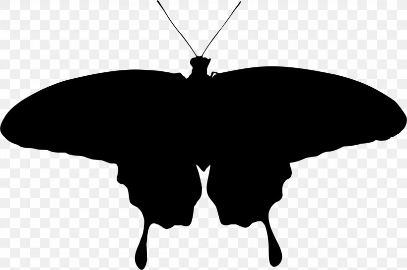 Brush-footed Butterflies Butterfly Moth Silhouette Clip Art, PNG, 2312x1538px, Brushfooted Butterflies, Arthropod, Black And White, Brush Footed Butterfly, Butterflies And Moths Download Free