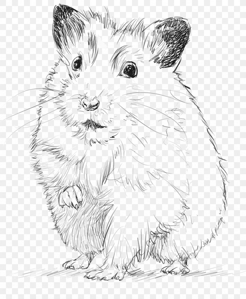 Gerbil Croquis House Drawing Sketch, PNG, 847x1029px, Gerbil, Artwork, Black And White, Carnivoran, Chalet Download Free