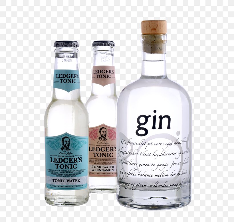 Liqueur Tonic Water Glass Bottle Vodka Ledger, PNG, 601x777px, Liqueur, Alcoholic Beverage, Artificial Intelligence, Book, Bottle Download Free