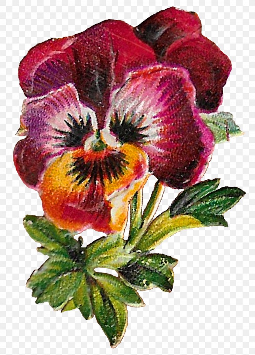 Pansy Flower Clip Art Image, PNG, 1148x1600px, Pansy, Annual Plant, Art, Craft, Cut Flowers Download Free