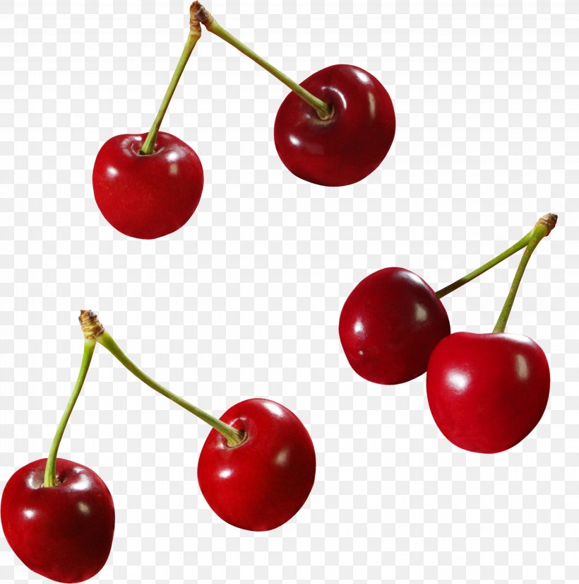 Sweet Cherry Cerasus Malpighia Glabra, PNG, 4245x4277px, Cherry, Acerola, Acerola Family, Cerasus, Food Download Free