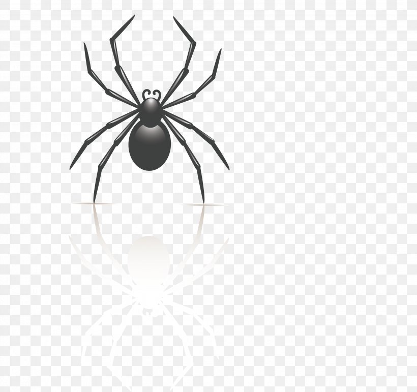 Insect Spider Black And White, PNG, 3037x2857px, Insect, Animation, Arachnid, Arthropod, Black Download Free