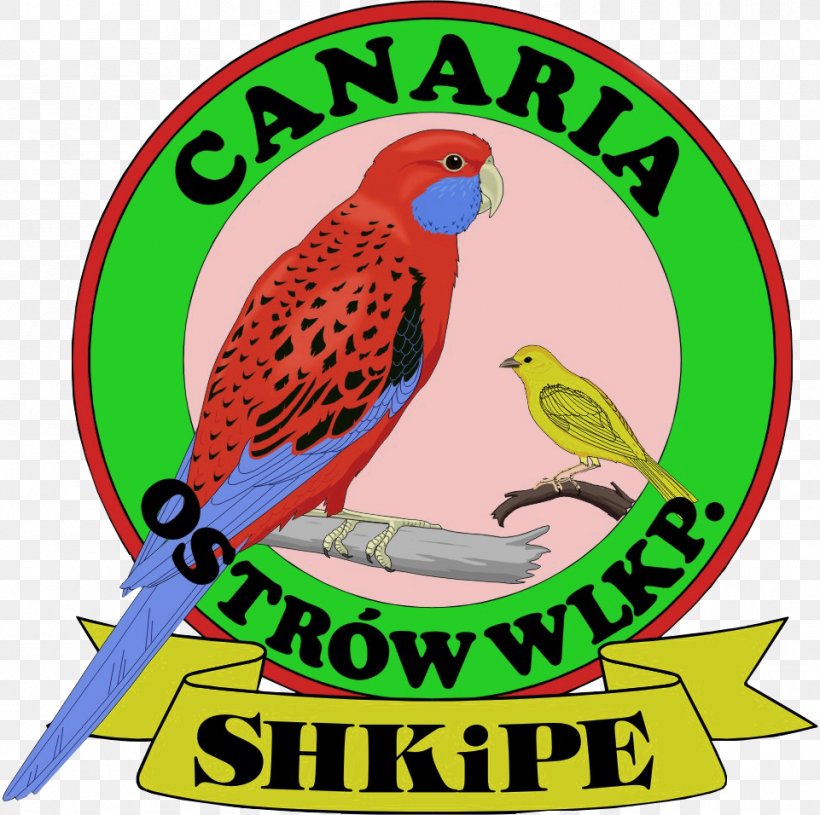 Bird Macaw Parakeet Beak Clip Art, PNG, 961x956px, Bird, Beak, Budgie, Fauna, Hodowla Download Free