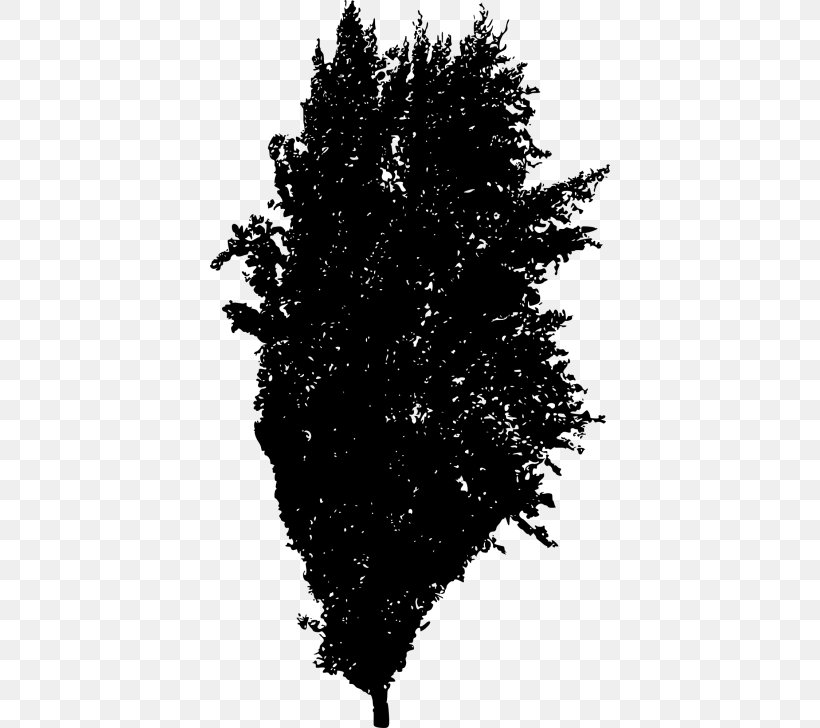 Pine Tree Silhouette, PNG, 400x728px, Woody Plant, Black, Branch, Cypress Family, Drawing Download Free