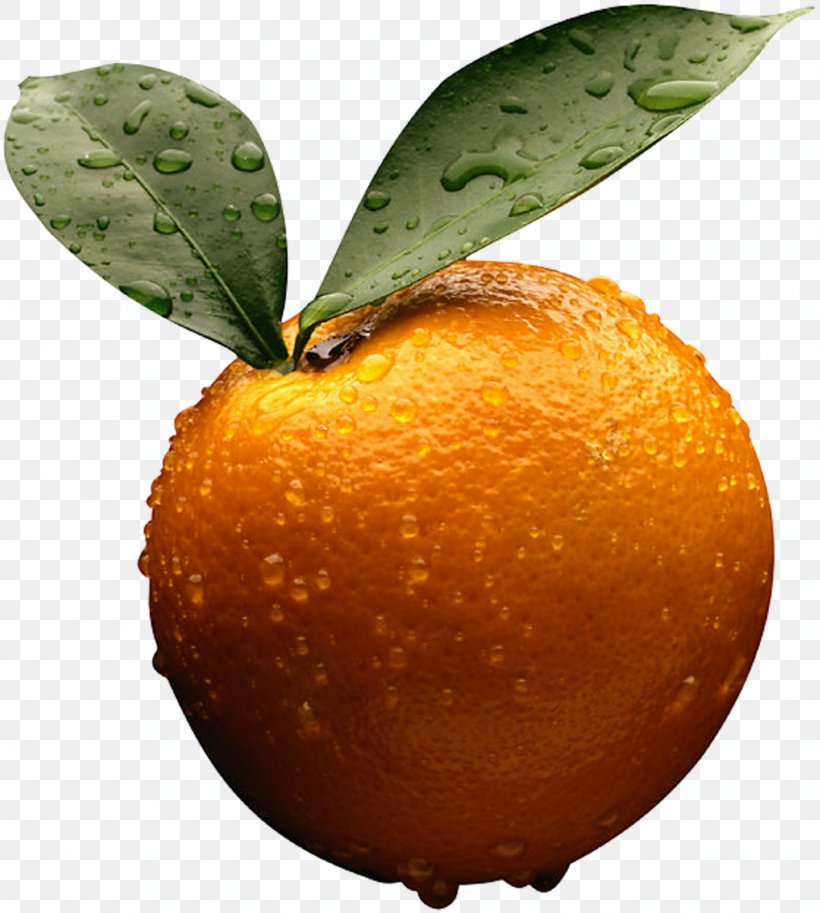 Clementine Tangerine Citrus × Sinensis Volkamer Lemon Tangelo, PNG, 1600x1783px, Accounting, Accountant, Accounting Information System, Alan Sangster, Bitter Orange Download Free