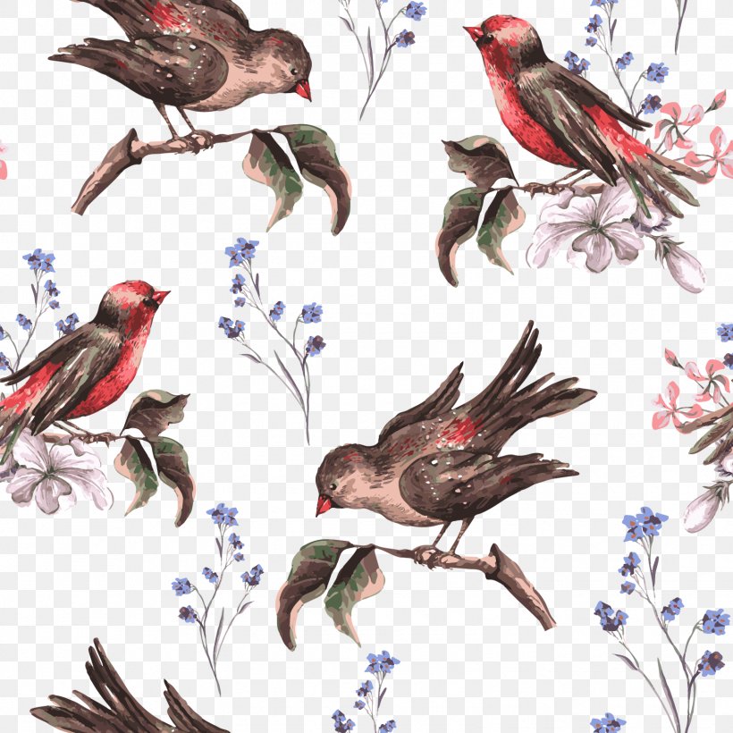 Bird Flower Euclidean Vector Illustration, PNG, 1575x1575px, Bird, Art, Beak, Fauna, Feather Download Free