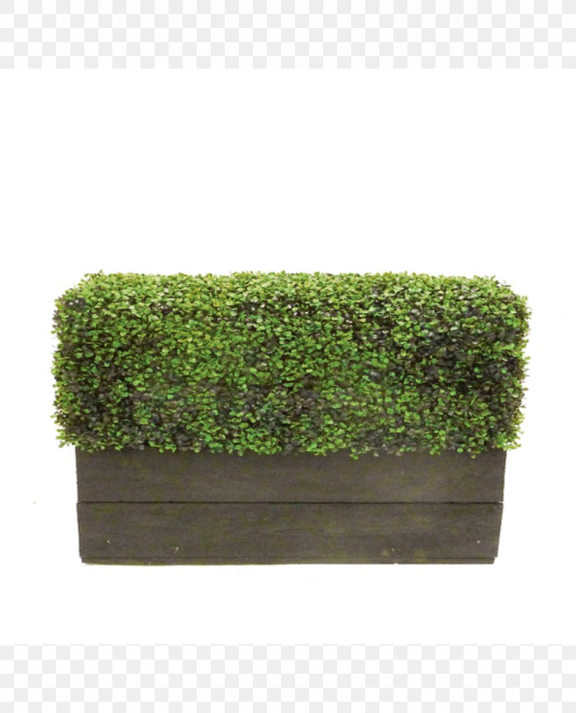 Hedge Table Box Topiary Furniture, PNG, 1024x1269px, Hedge, Bench, Box, City Furniture, Flowerpot Download Free