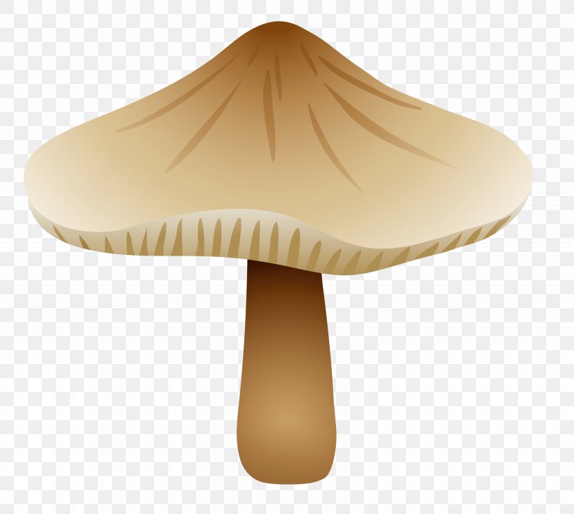 Mushroom Fungus Drawing Botanical Illustration, PNG, 6337x5675px, Mushroom, Beige, Boletus, Boletus Edulis, Botanical Illustration Download Free