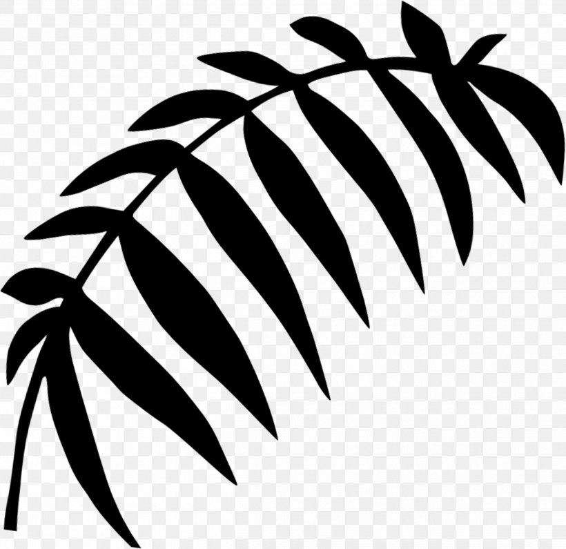 Palm Trees Black & White, PNG, 2489x2414px, Palm Trees, Arecales, Black White M, Blackandwhite, Botany Download Free