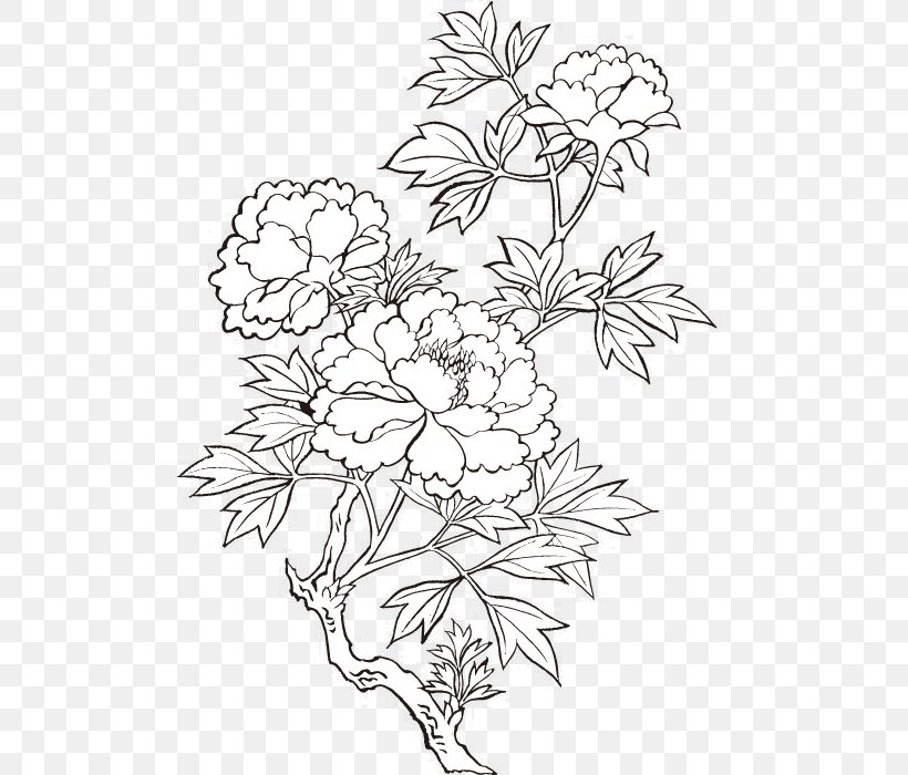 Peony Drawing Flower Painting, PNG, 700x700px, Peony, Area, Black, Black And White, Branch Download Free