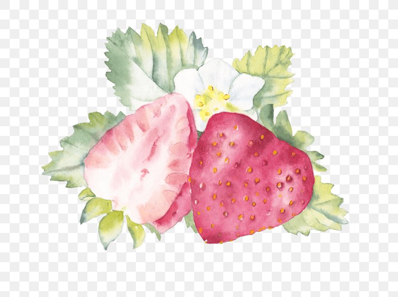 Watercolor Painting Image Drawing, PNG, 804x612px, Watercolor Painting, Art, Artist, Drawing, Food Download Free