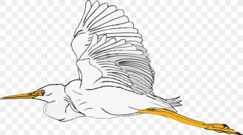 Beak Cygnini Goose Illustration Clip Art, PNG, 1920x1071px, Beak, Art, Bird, Cartoon, Cygnini Download Free