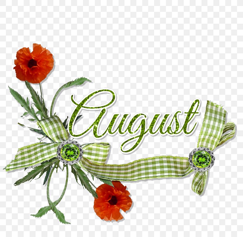 Birthday Scholengemeenschap Augustinianum Floral Design 0, PNG, 800x800px, 2018, Birthday, August, Augustinus, Cut Flowers Download Free