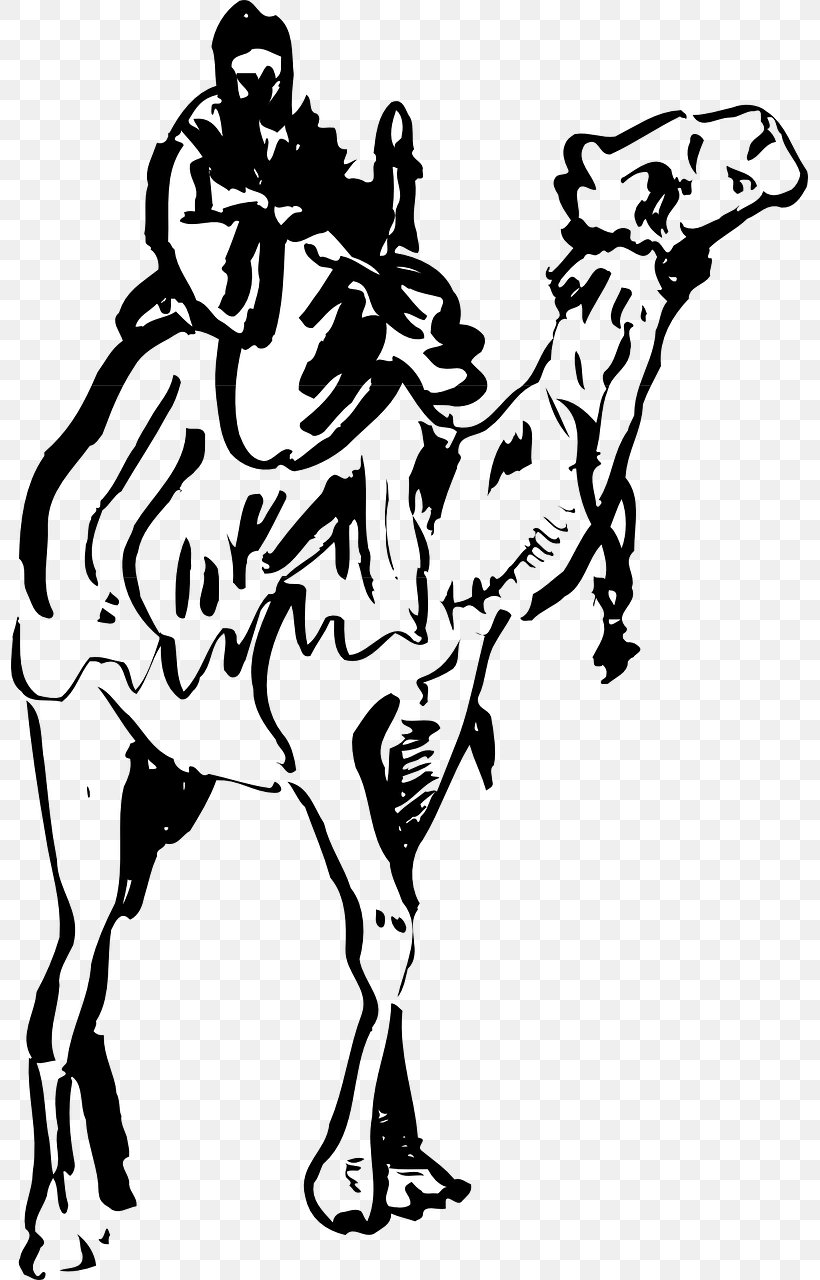 Camel Clip Art Stock.xchng Vector Graphics, PNG, 797x1280px, Camel, Art, Artwork, Black And White, Camel Like Mammal Download Free