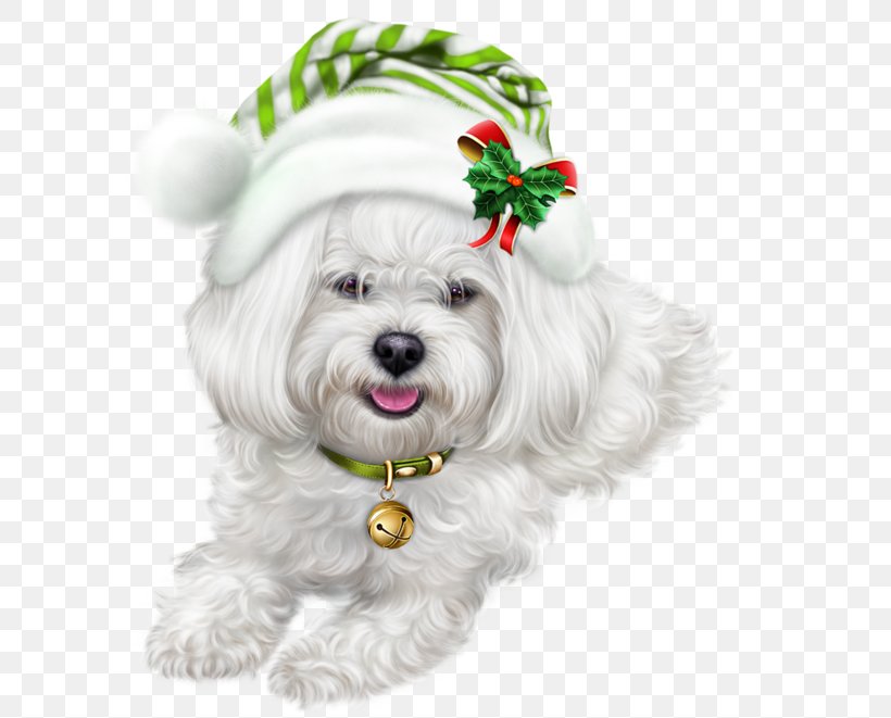 Lhasa Apso Puppy Symbol Clip Art, PNG, 600x661px, 2018, Lhasa Apso, Bichon, Bolonka, Carnivoran Download Free