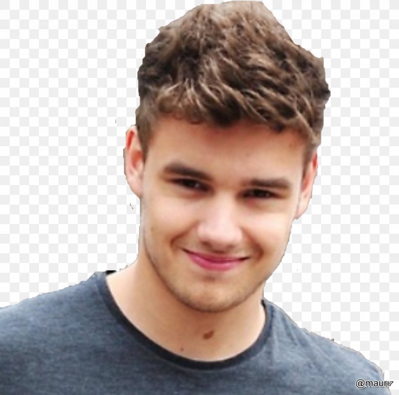 Liam Payne The X Factor One Direction Up All Night Boy Band, PNG, 1600x1583px, Watercolor, Cartoon, Flower, Frame, Heart Download Free