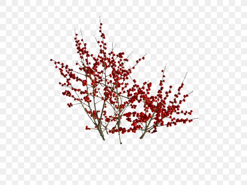 Cherry Blossom Twig Art Painting, PNG, 1032x774px, Cherry Blossom, Art, Blossom, Branch, Cherries Download Free