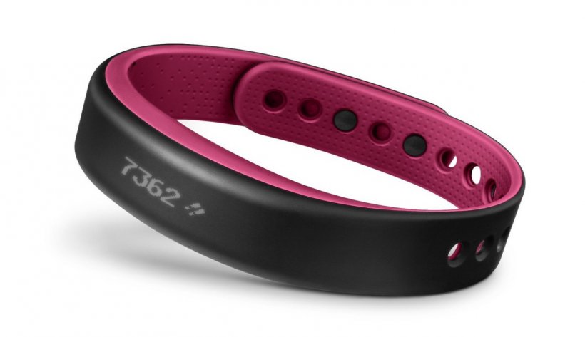 Garmin Ltd. Activity Tracker Garmin India Wearable Technology Mobile Phones, PNG, 1256x725px, Garmin Ltd, Activity Tracker, Belt Buckle, Bracelet, Computer Monitors Download Free