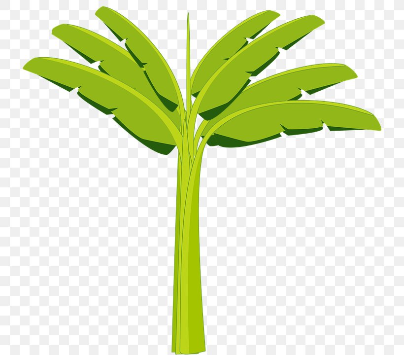 Banaani Banana Clip Art Image, PNG, 740x720px, Banaani, Banana, Cartoon, Cdr, Coconut Download Free