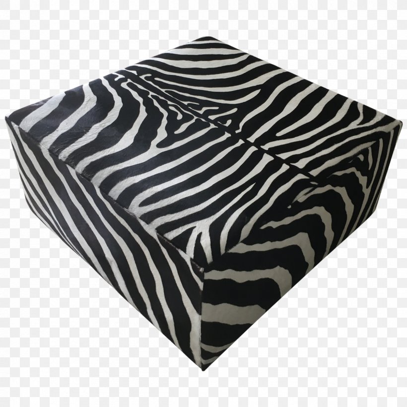Zebra Black M, PNG, 1200x1200px, Zebra, Black, Black M Download Free