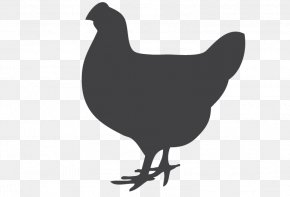 Chicken - Chicken Stock Photography Stock Illustration Drawing PNG