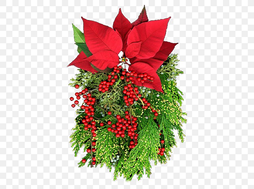 Christmas Ornament Poinsettia Flower Christmas Eve, PNG, 450x613px, Christmas Ornament, Animaatio, Christmas, Christmas Decoration, Christmas Eve Download Free