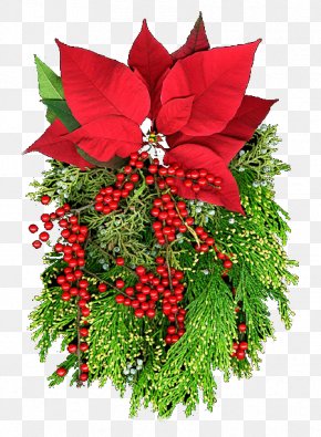 Flower - Christmas Ornament Poinsettia Flower Christmas Eve PNG
