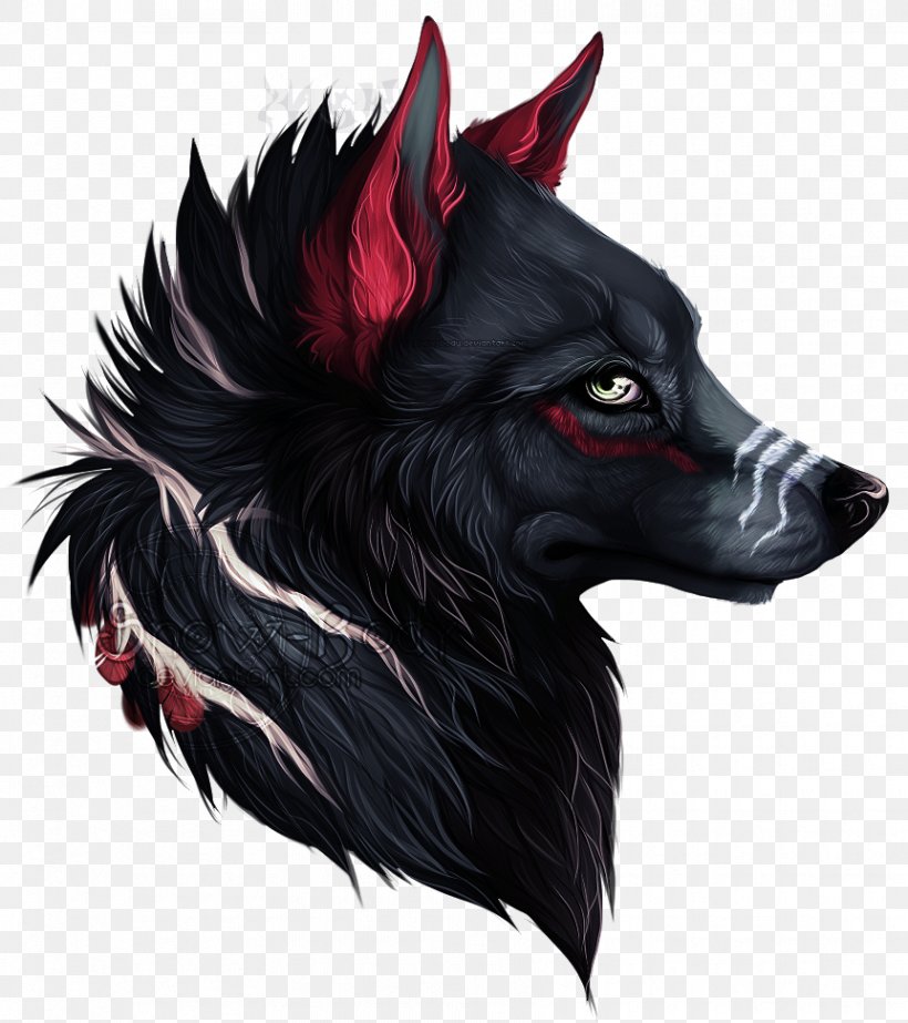 Dog Black Wolf Sokka Drawing Red Wolf, PNG, 862x971px, Watercolor