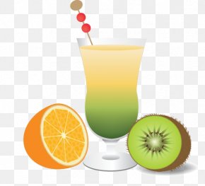 Fresh Frui Ts - Orange Juice Orange Drink Limeade Cocktail Garnish Harvey Wallbanger PNG
