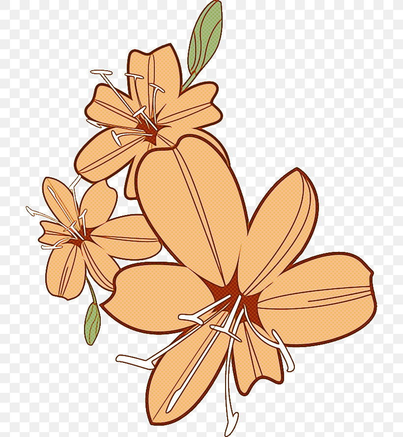 Lily Flower, PNG, 716x890px, Lily Flower, Biology, Cut Flowers, Flower, Hand Download Free