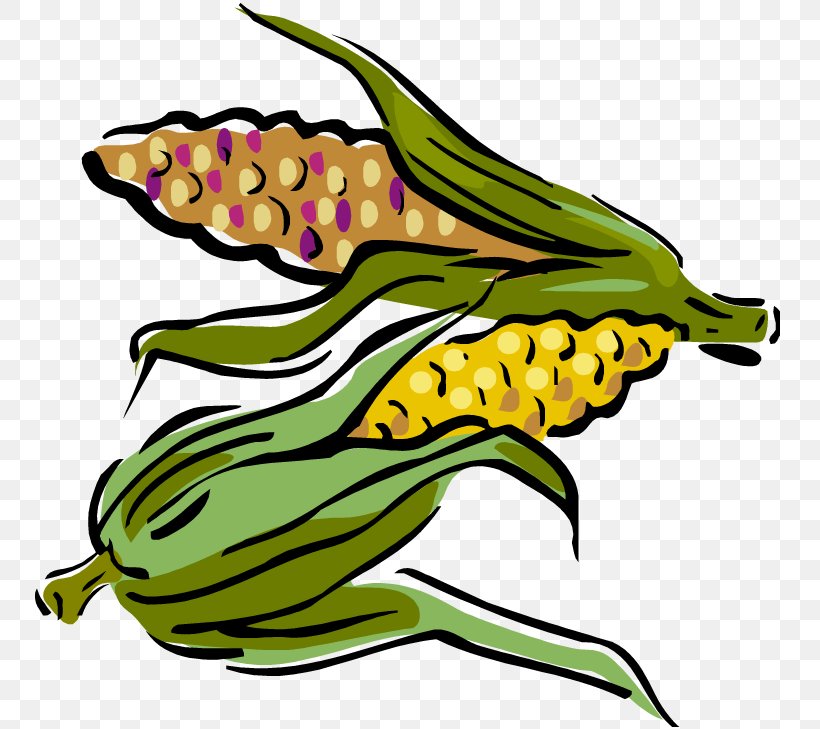 Maize Corn On The Cob Clip Art, PNG, 750x729px, Maize, Amphibian, Artwork, Commodity, Corn On The Cob Download Free