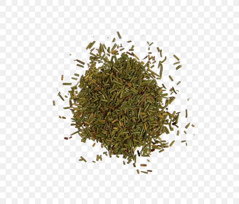 Rosemary Seasoning Herb Liquorice, PNG, 700x700px, Rosemary, Assam Tea, Bancha, Biluochun, Common Sage Download Free