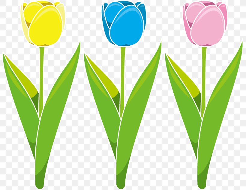 Tulip Cut Flowers Petal Clip Art, PNG, 806x633px, Tulip, Cut Flowers, Flower, Flowering Plant, Grass Download Free
